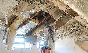 Best Mold Prevention Services  in Ridgely, MD